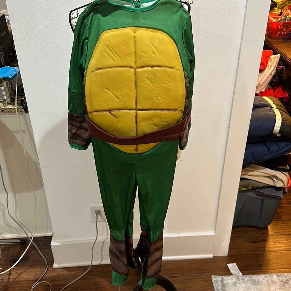 Teenage mutant ninja turtles, Raphael, medium
